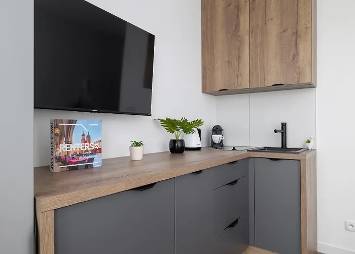 Stylish Klemensiewicza In Cracow By Renters Appartamento Cracovia